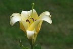ziemlich bunt